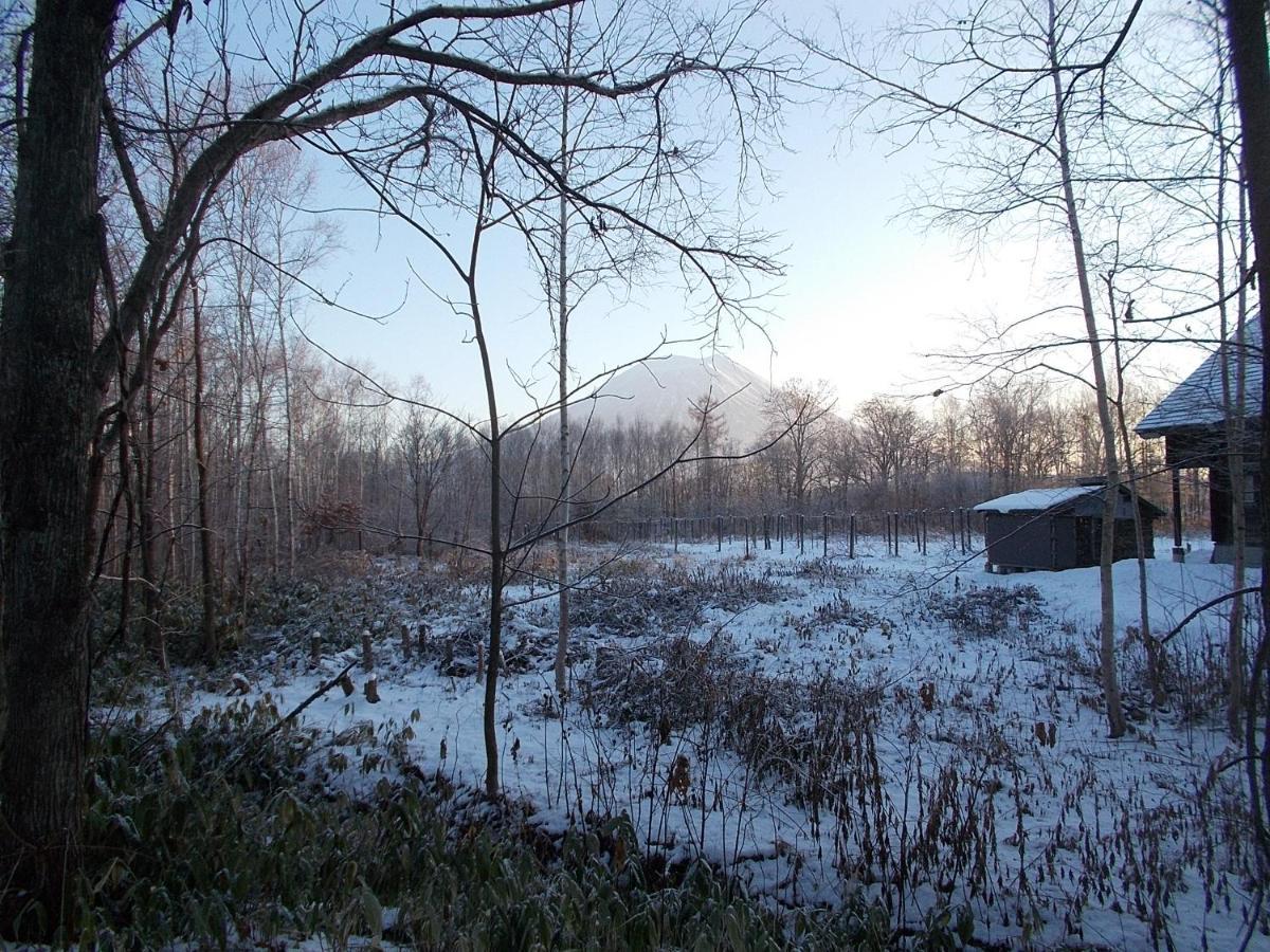 Niseko Shirokuma Cottage Exterior foto